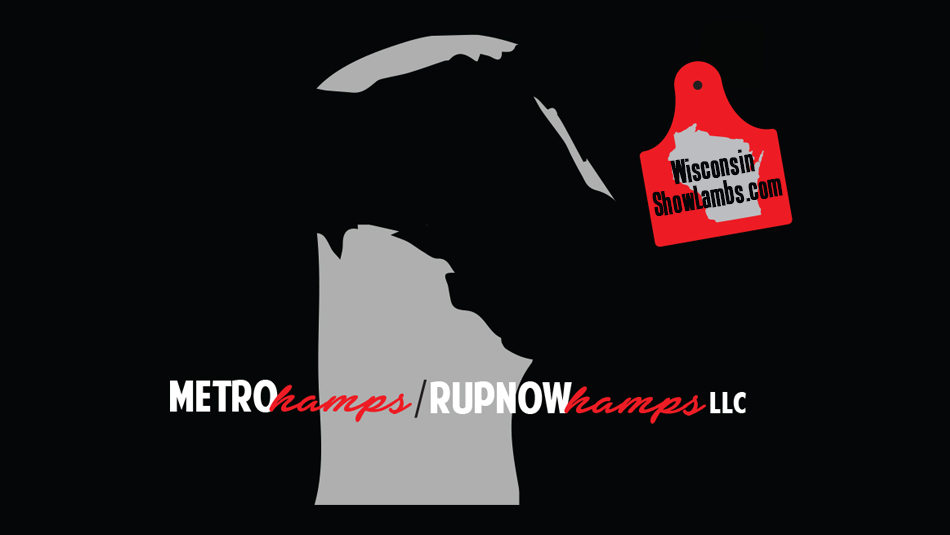 Metro Hamps/Rupnow Hamps LLC